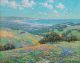 Famous - Granville Seymour Redmond - Landscape Painter - Malibu Coast Spring.jpg