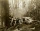 Pacific War 1943 06 - Battle for Bougainville 04.jpg