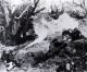 Pacific War 1943 08 - Battle of the Tarawa 03.jpg